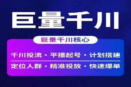 百度竞价广告与自然搜索排名的结合策略案例